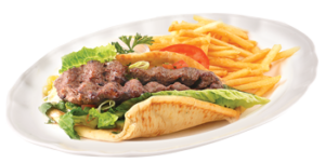 The picture of Koobideh wrap w/fries